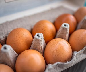 GIS ostrzega przed salmonellą w partii jaj. Nie spożywać produktu