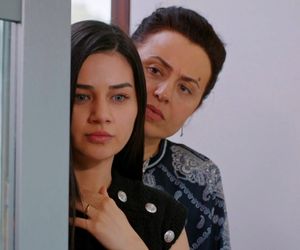 Miłość i nadzieja odc. 283. Bahar, Cavidan