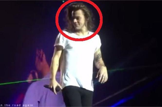 Harry Styles - reakcja na dildo