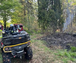 Duży pożar na pograniczu polsko-słowackim. Na miejscu pracuje wiele zastępów straży pożarnej