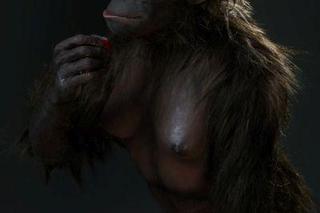 Każdy może zobaczyć słynną Lucy. W Krakowie wystawiono rekonstrukcję sprzed 3,2 mln lat