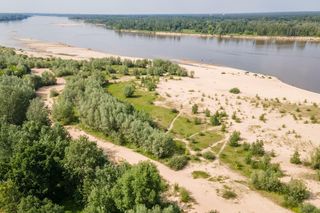 Plaża w Ciszycy (pow. piaseczyński)