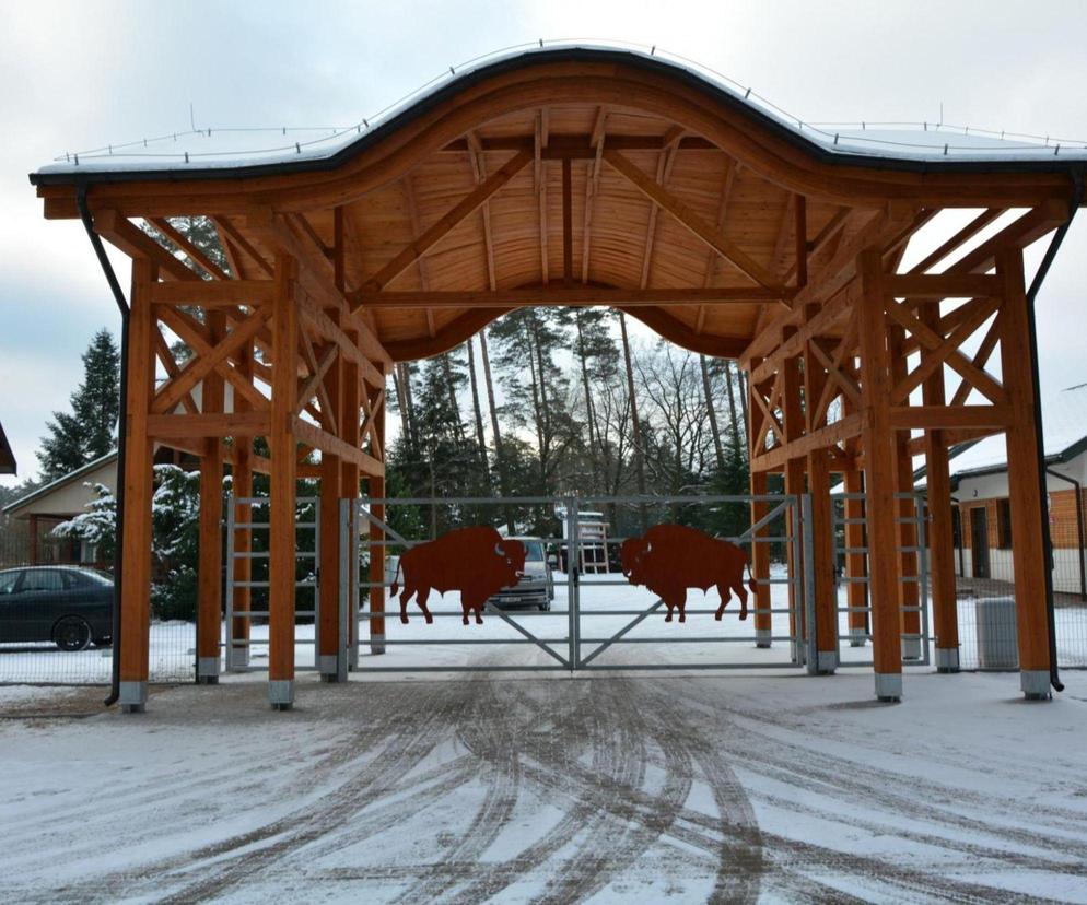 Pokazowa Zagroda Żubrów w Krajewie prawie gotowa [ZDJĘCIA]