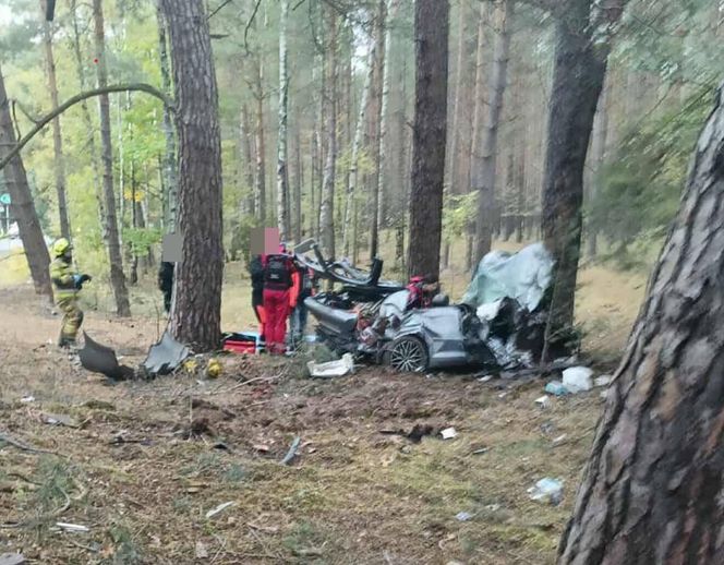 Śmiertelne dachowanie