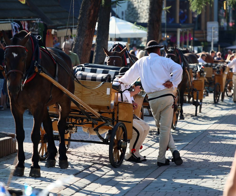 Zakopane