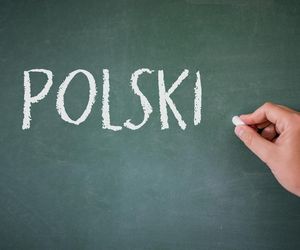 Na te kierunki studiów dostaniesz się łatwiej niż myślisz