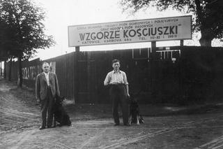 Szkoła układania (tresury) psów ochronnych i policyjnych oraz hodowla psów rasowych w Katowicach