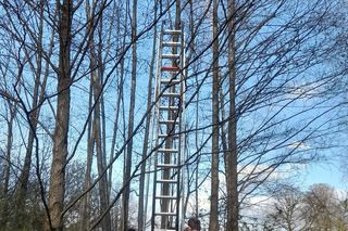 Wystraszony kotek kilkanaście metrów na ziemią