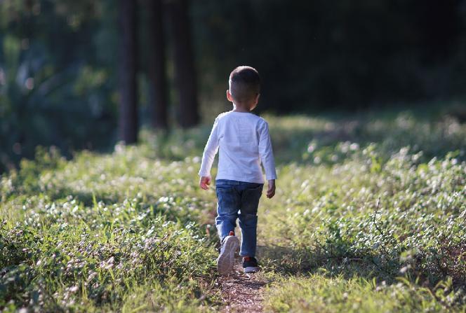 Staszów: Dwuletni chłopczyk sam na ulicy! Mama zagadała się z sąsiadką!