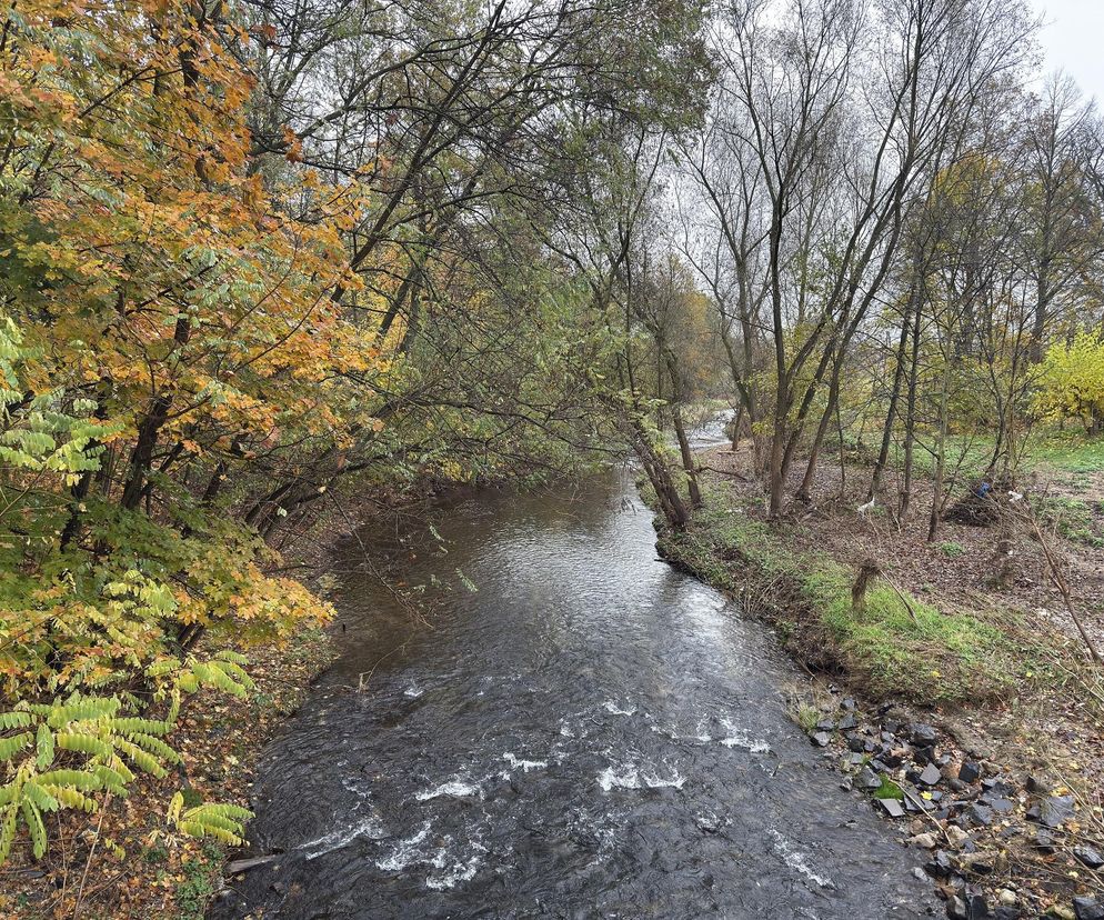 Zbiornik Rzymówka nad Kaczawą