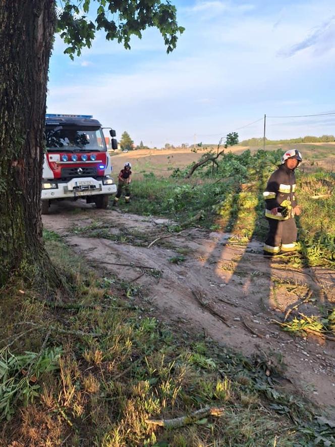 Nawałnice przeszły przez Polskę. Najwięcej interwencji na Warmii i Mazurach [ZDJĘCIA]