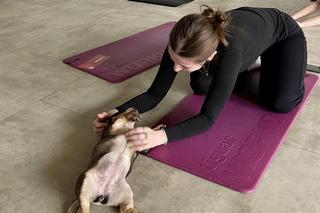 Puppy Yoga