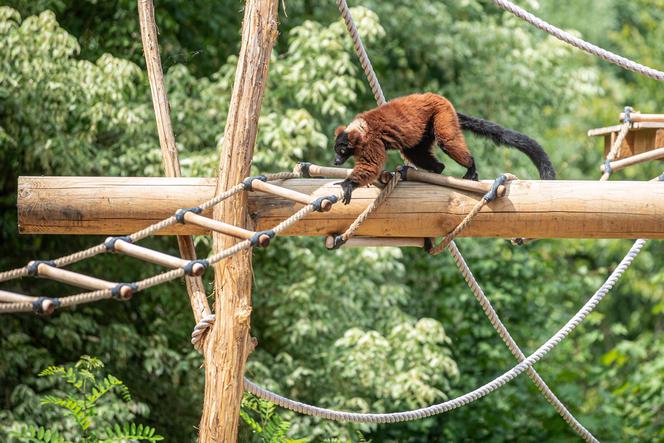 Teściowa pogodziła się z zięciem
