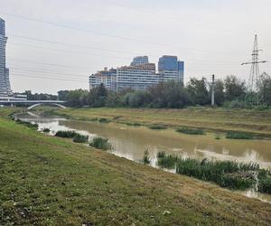 Wysoka woda na Wisłoku po ulewach