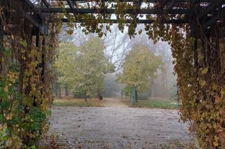 Zamojski park  urzeka kolorami. Warto wybrać się tam na jesienny spacer