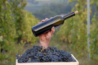 Jak zrobić wino z winogron bez drożdży?