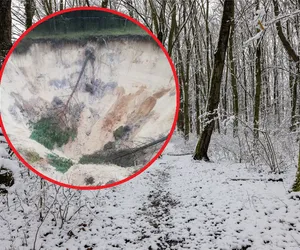 W tych lasach występuje zagrożenia życia! Leśnicy wydali zakaz wstępu do końca marca