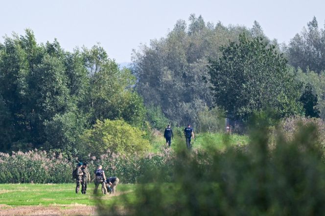 Poszukiwania dronów