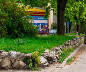 Osiedle Młodych czyli dawne Osiedle Bezdomnych Kochanków w Warszawie