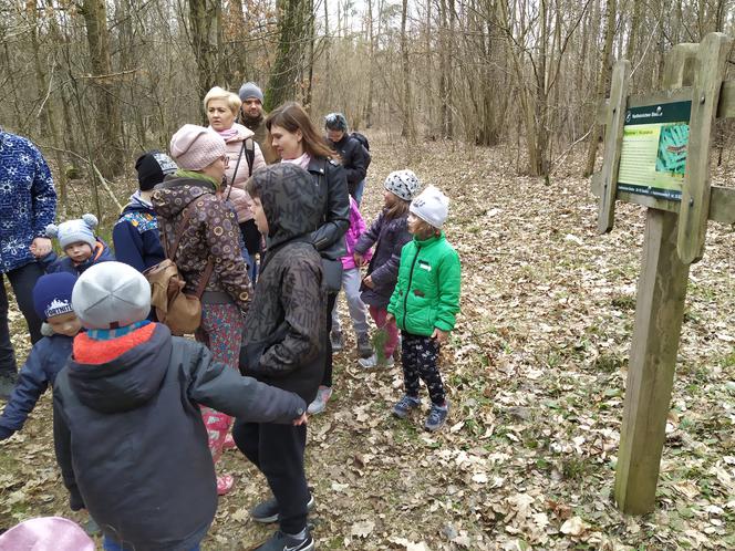 Siedlczanie szukali pierwszych śladów wiosny wraz z leśnikami z Nadleśnictwa Siedlce