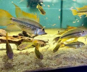Rozmawiamy z Tomaszem Wiśniewskim, założycielem Aqua Dreams Bydgoszcz