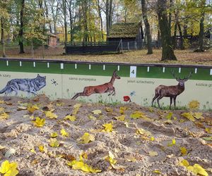 ​Statek dla dzieci w Parku Tysiąclecia w Lesznie odzyska dawny blask. Wymienią stare elementy placu zabaw, dołożą nowe