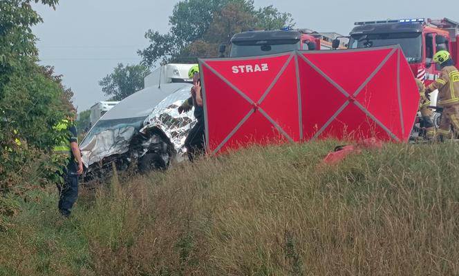 : Mama zginęła w wypadku, dziecko z urazem głowy trafiło do szpitala. Tragiczny finał brawurowej jazdy na trasie do Warszawy