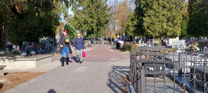 Przygotowania do Wszystkich Świętych Zamość