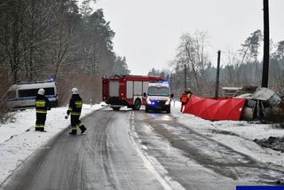 Śmiertelny wypadek w Lidzbarku. Bus uderzył w drzewo. Nie żyje młoda kobieta