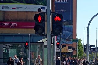 Gehenna pieszych w centrum Szczecina