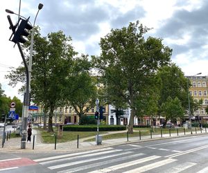 Wrocław. 15 lat libacji na skwerku