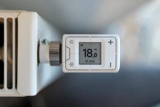 Termostat elektroniczny do grzejnika - czy warto zainwestować w taki termostat na grzejnik? 