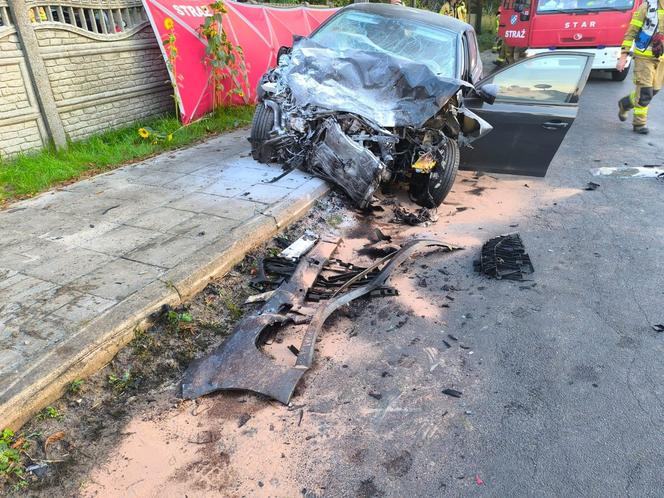 Śmiertelny wypadek pod Krotoszynem. Peugeot 31-latki i 80-latki stanął w płomieniach [ZDJĘCIA].