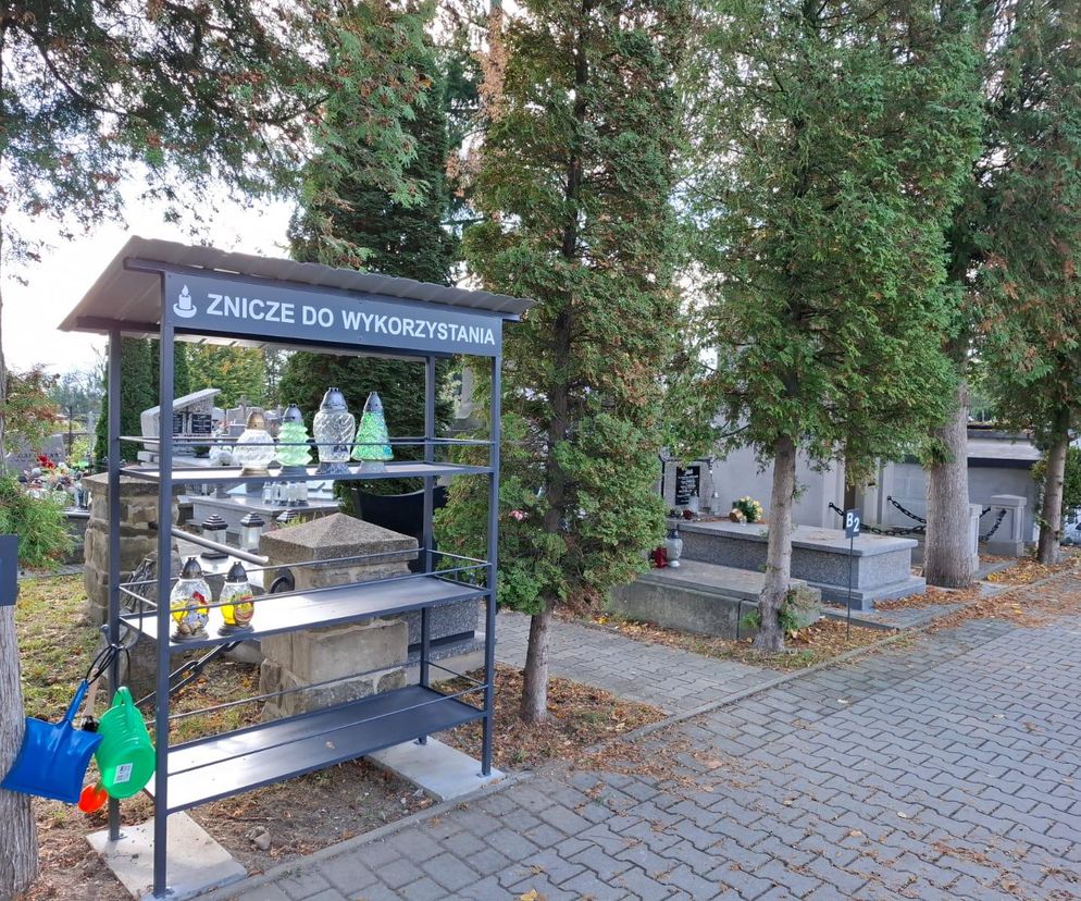 Kolejne zniczodzielnie w naszym regionie. Gdzie się pojawiły?