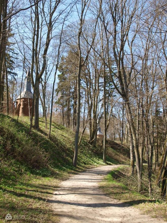 Malutką wieś nazywają "Warmińską Jerozolimą". Przyciąga prawdziwe tłumy