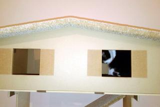 Katowice: Pierwsza na Śląsku Kocia Kawiarnia działa już trzy tygodnie! [ZDJĘCIA]