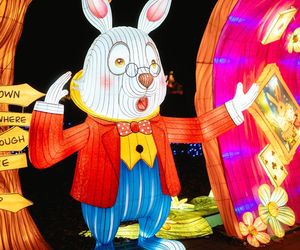 Śląsk zamienia się w Krainę Czarów. Ta magiczna wystawa świateł to absolutny hit jesieni i zimy