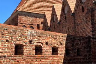 Zamek Krzyżacki w Toruniu