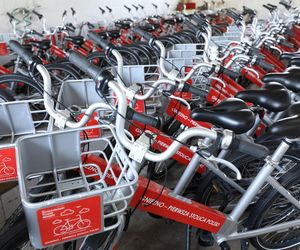 Popularność roweru miejskiego rośnie