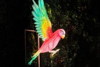 Garden of Lights w ZOO Wrocław