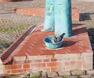 Angermünde