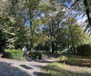 Park Kopernika w Gorzowie w jesiennej scenerii