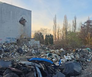 Duże zmiany Nowej Hucie. Trwa wielkie sprzątanie po latach zaniedbań 