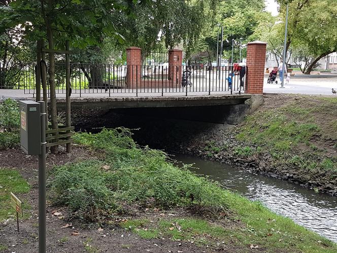 Gorzów park 