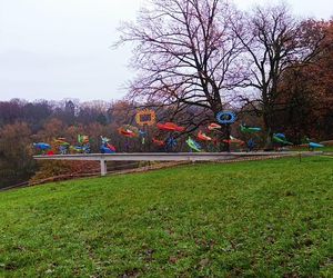 Ogniste Ptaki w Parku Kasprowicza w Szczecinie