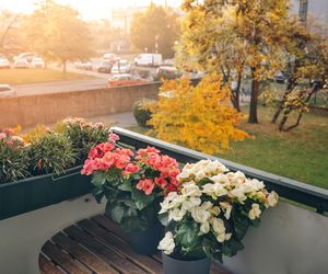 Balkon i taras na początku jesieni