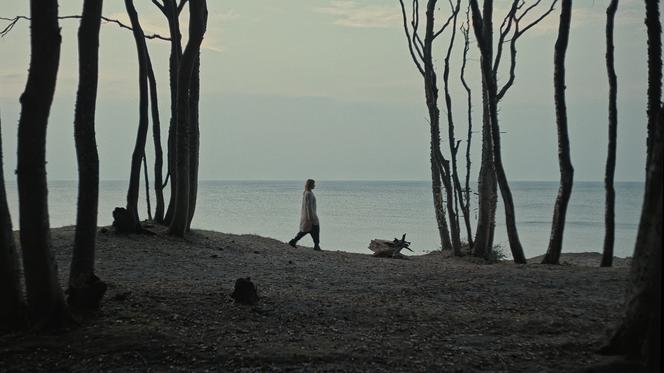 Tak powstawał film "Rój" 