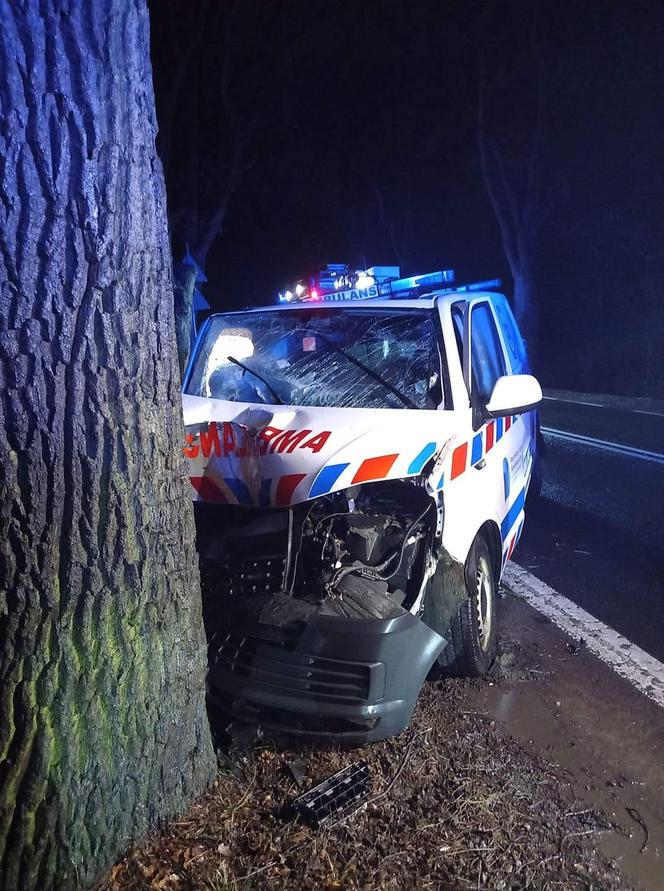 Wypadek w Borównie. Karetka uderzyła w drzewo [ZDJĘCIA]