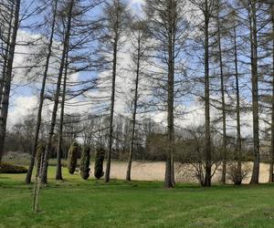 Łódzki Ogród Botaniczny obchodzi 50-lecie. To miejsce rozkwita i czeka na gości