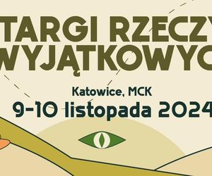 Co się dzieje w weekend 8-10 listopada w woj. śląskim. Imprezy w Katowicach i okolicach